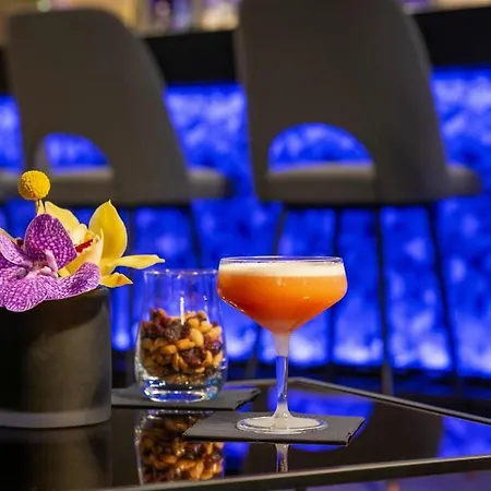 酒店 Leonardo Royal Bonn Airport 4*