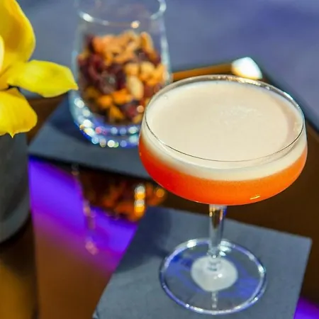 Leonardo Royal Bonn Airport 科隆